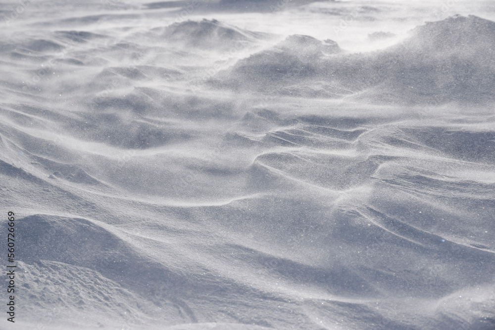 Snow texture, frozen snow formed by a blizzard. Snow texture, frozen snow formed by a blizzard.
