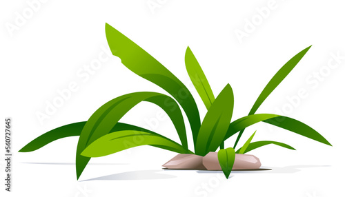 Composition of green grass with long leaves and small stones, decorative bush for landscape design, illustration isolated on white