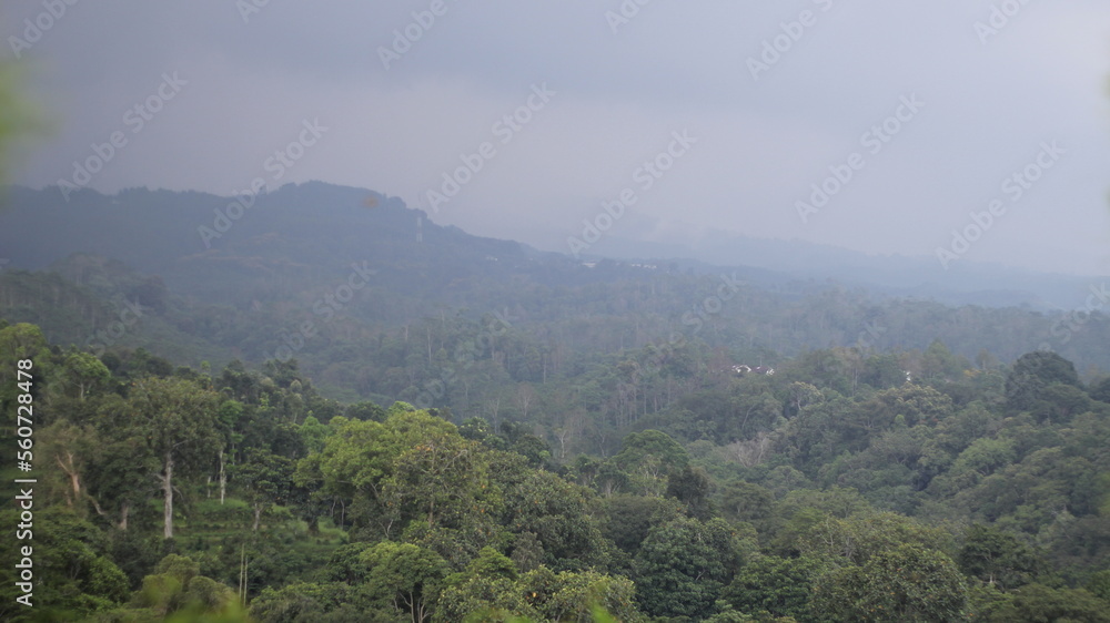 Fototapeta premium mist in the mountains
