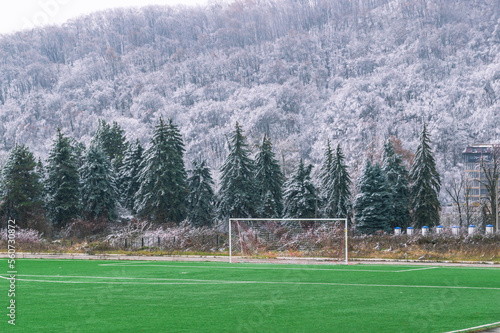 A football field with green grass on the background of a mountain with snow-covered trees. Green grass on the football field for training in winter. Football field with gates for playing football. photo