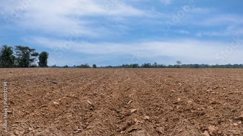 Rows of soil before planting. Furrows row pattern in a plowed field prepared for planting crops in spring. view of land prepared for planting and cultivating the crop.