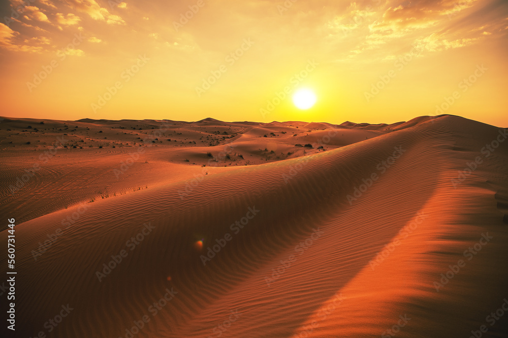 Obraz premium Paysage désertique.