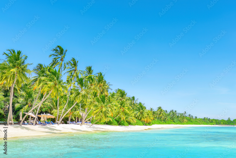 A tropical paradise idyllic beach on Sri Lanka's south coast at Mirissa.