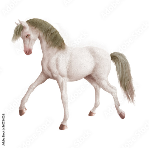 cheval  animal    talon  illustration  poney  course  blanc    amoureux des chevaux  jument  courir  crin  beau  chevalin  vitesse