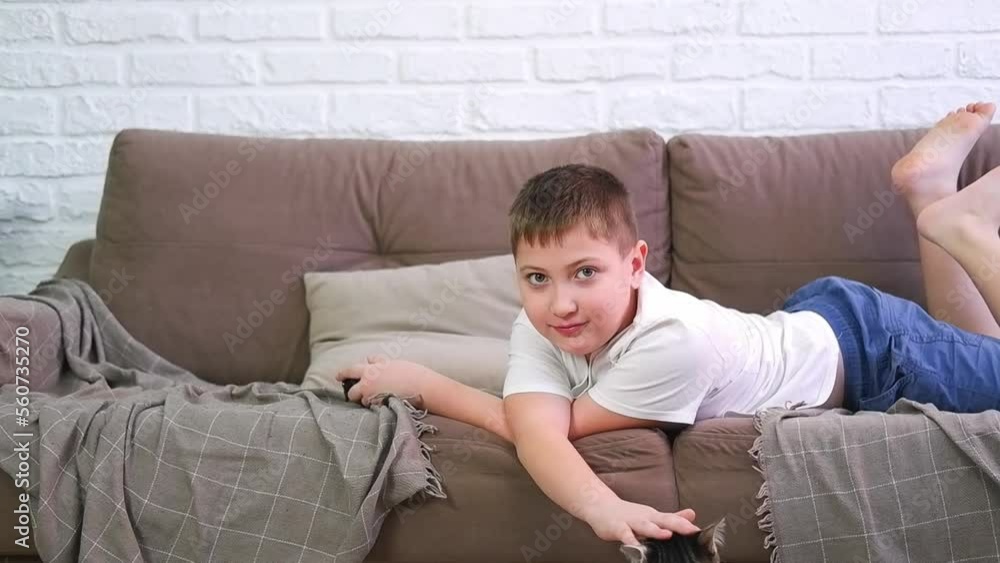 a cute boy is lying on sofa and stroking a cat. a cute boy is lying on sofa and stroking a cat.