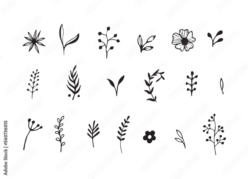 Black Sketch of Flowers Isolated on White Background. Botanical Set Abstract Simple Illustration for Minimalist Design. Vector illustration