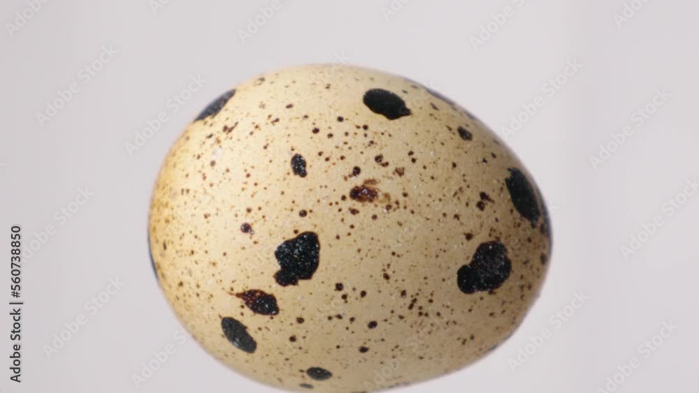 Quail eggs rotation on white background. Healthy food concept. Quail eggs rotation on white background. Healthy food concept.