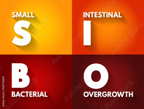 SIBO - Small Intestinal Bacterial Overgrowth is an imbalance of the microorganisms in your gut that maintain healthy digestion, acronym concept background