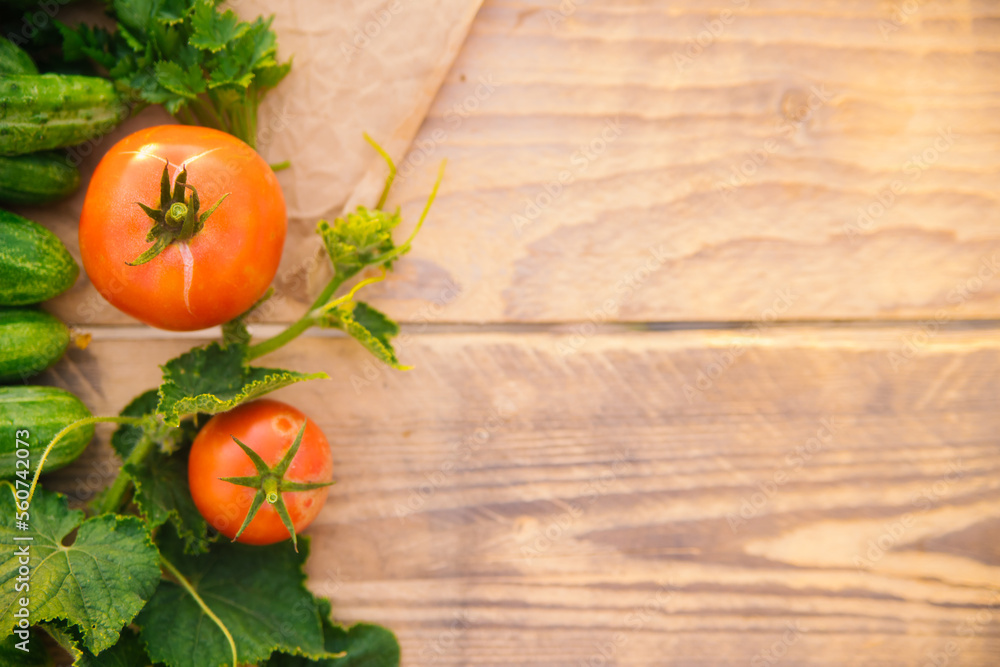 Fresh vegetables on a wooden background. Empty space for the text. Cucumbers, tomatoes, garlic, dill. Top view. Fresh vegetables on a wooden background. Empty space for the text. Cucumbers, tomatoes, garlic, dill. Top view.