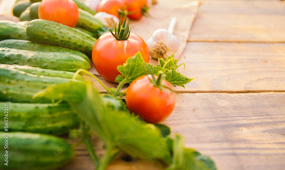 Fresh vegetables on a wooden background. Empty space for the text. Cucumbers, tomatoes, garlic, dill. Top view. Fresh vegetables on a wooden background. Empty space for the text. Cucumbers, tomatoes, garlic, dill. Top view.