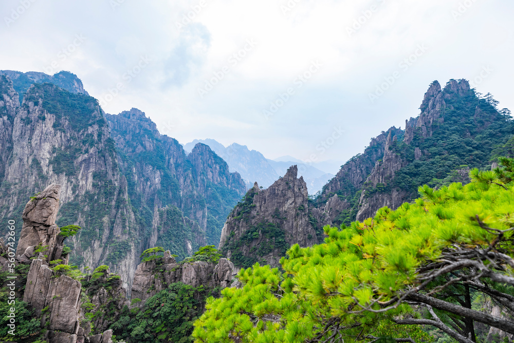 Natural scenery of Huangshan Scenic Area in Anhui Province