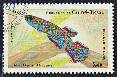 Cancelled postage stamp printed by Guinea Bissau, that shows Berthold's Killi (Roloffia bertholdi), circa 1983. photo