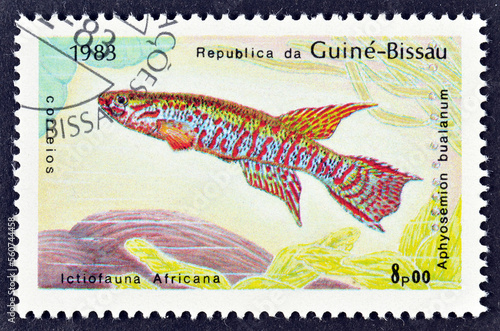 Cancelled postage stamp printed by Guinea Bissau, that shows African Swamp Killifish (Aphyosemion bualanum), circa 1983. photo