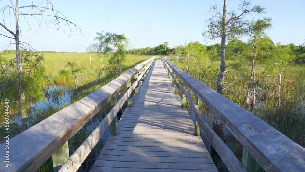 Long Wooden Walkway over swampy wetlands in Everglades National Park Florida Long Wooden Walkway over swampy wetlands in Everglades National Park Florida