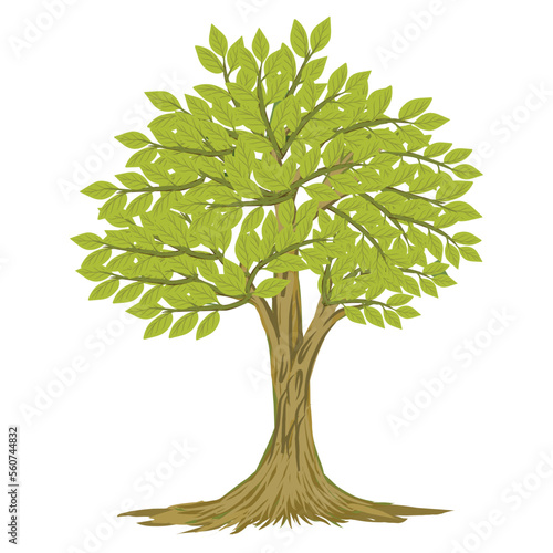 Illustration of banyan tree bonsai