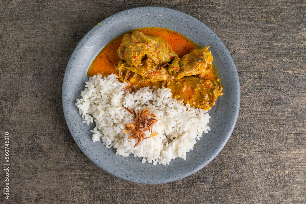 tasty chicken curry food with steam rice and fried shallot on top on a plate tasty chicken curry food with steam rice and fried shallot on top on a plate