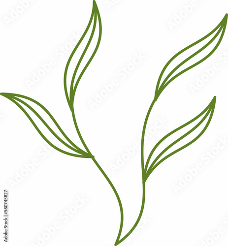 graphic leaf element vector logo