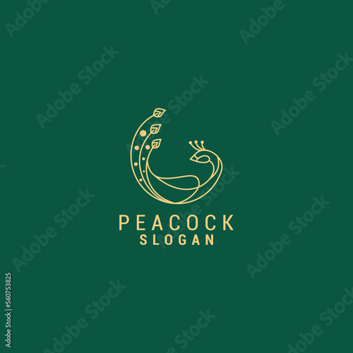 Peacock line art logo vector icon design template
