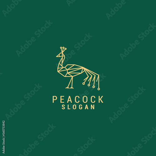 Peacock line art logo vector icon design template