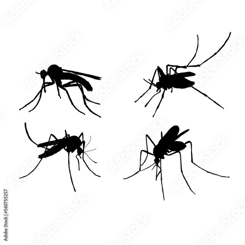 Set of silhouettes of insects mosquitoes vector design © ydhckll