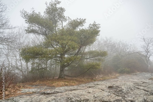 Wallpaper Mural whiteside mountain Torontodigital.ca