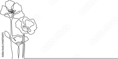 Vector poppy flowers in continuous line art drawing. Floral border with poppies blooming. Minimalist linear design.