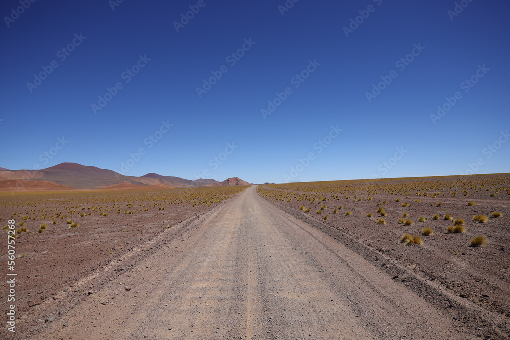 Colorful landscape of the Puna Argentina