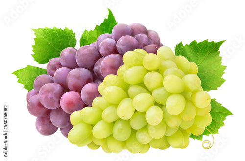 Bunch of white and red grapes with leaves cut out