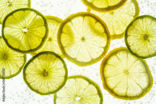 Citrus fruits