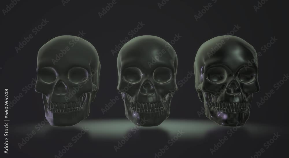 skeleton skull, human skeleton skull, human