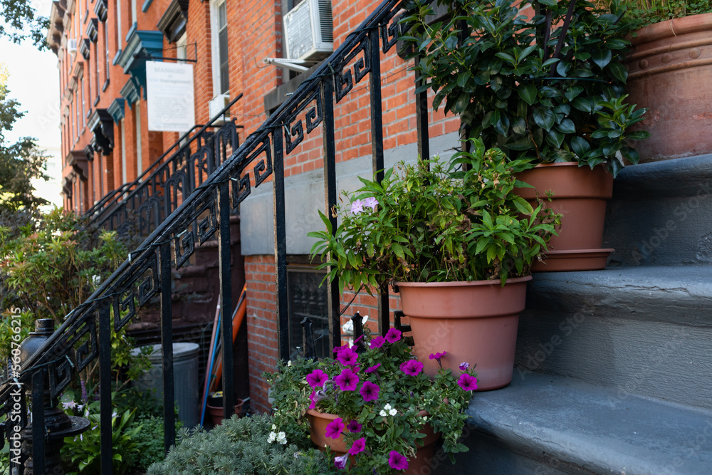 Green Potted Plants and Flowers Decorating the Stairs to an Apartment Building in Williamsburg Brooklyn during the Summer