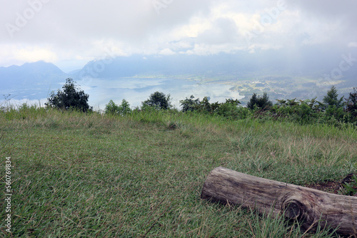 dry dead wood on the hill of Lawang Indonesia with views of Lake Maninjau below