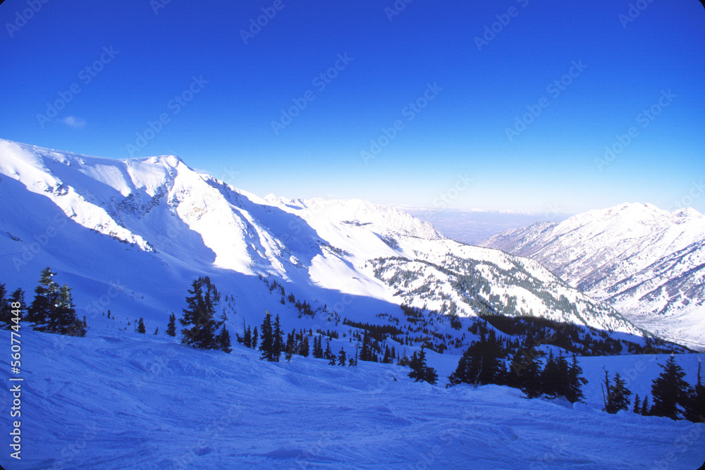 Scenic ski runs at Snowbird Resort, Utah. Scenic ski runs at Snowbird Resort, Utah.