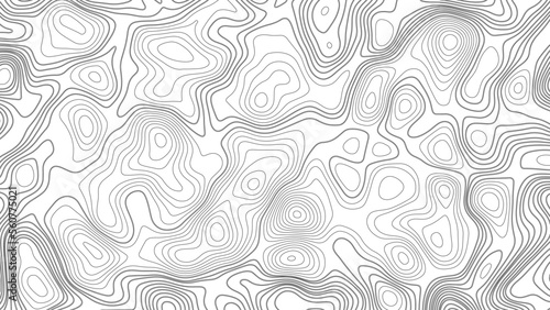 Topographic map. Geographic mountain relief. Abstract white topography vector background. Line topography map design. The concept of conditional geographical pattern and topography.	