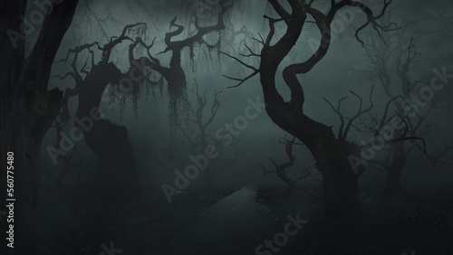 Foto Gruseliger dunkler Wald mit krummen Bäumen im Nebel, Unheimliche Bäume