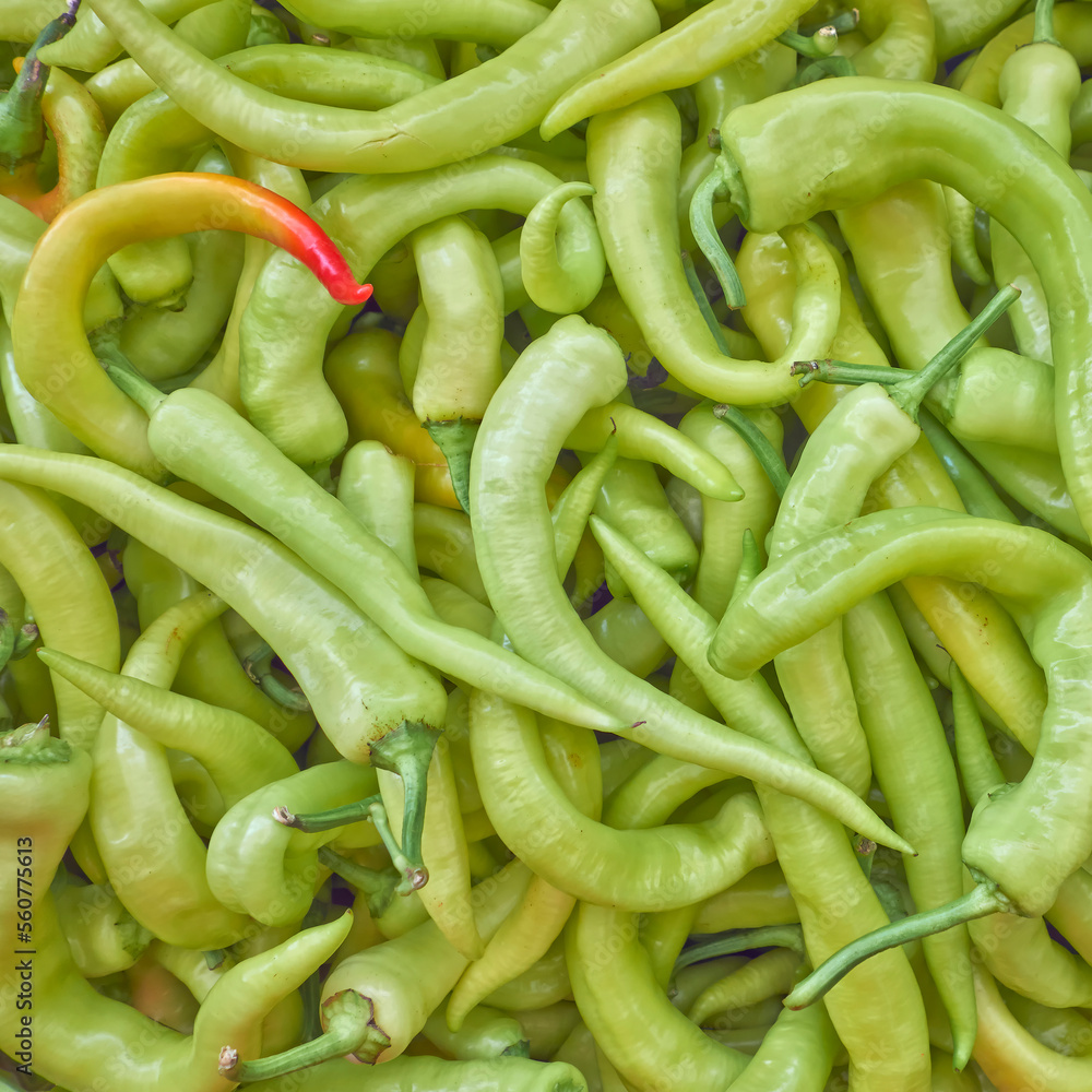Bright green organic peppers for sale top view close up. A natural, colorful background. Bright green organic peppers for sale top view close up. A natural, colorful background.