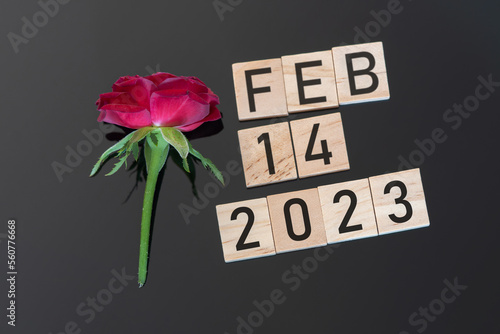 Happy Valentine's day with rose on dark background