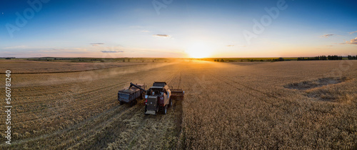 Volga region, harvest season. A combine harvester unloads grain into a truck. Aerial view.