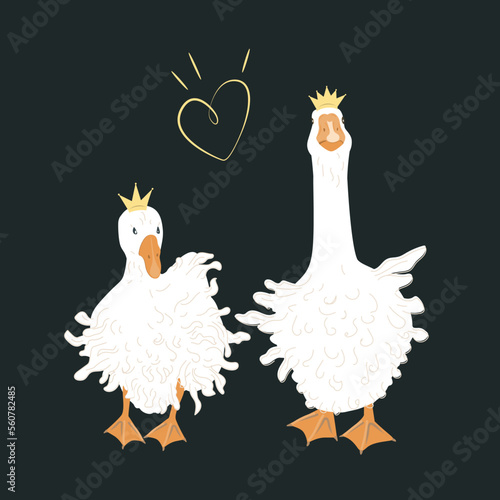 Couple of cute Sebastopol goose in crowns. Cartoon fantasy bird couple. Vector illustration