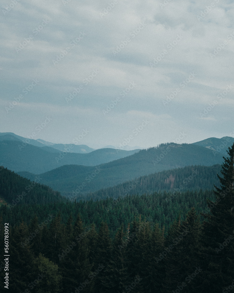 Obraz premium landscape with clouds