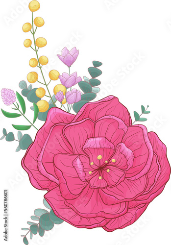 camellia bouquet