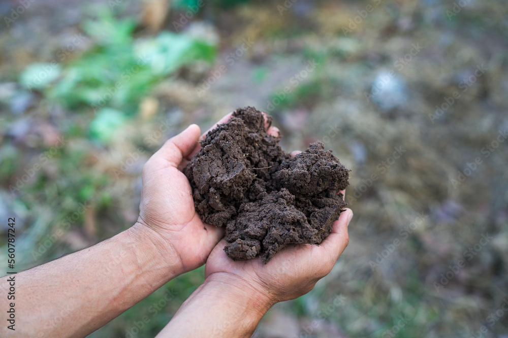 Hand holding soil with nature background. Hand holding soil with nature background.