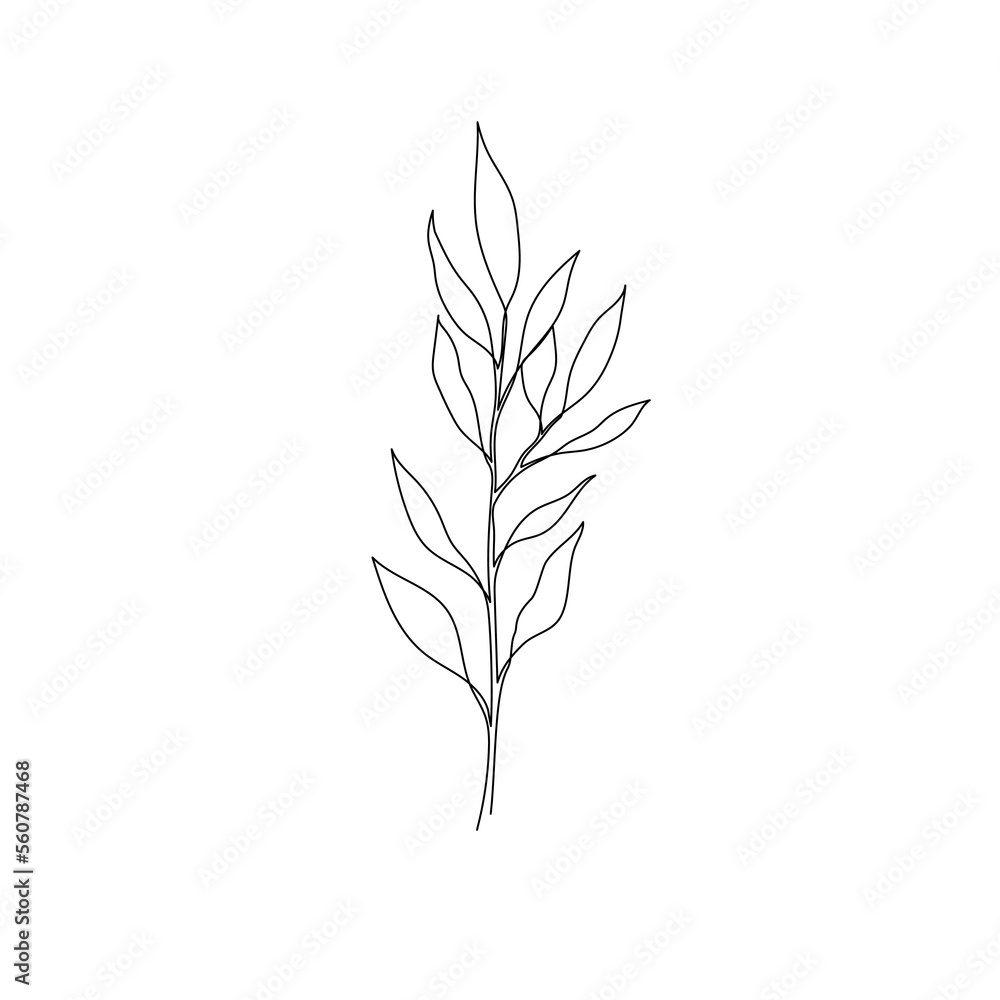Outline plant eucalyptus leaf. One continuous line art decorative plant leaf. Editable stroke eucalyptus foliage floral element. Isolated vector illustration