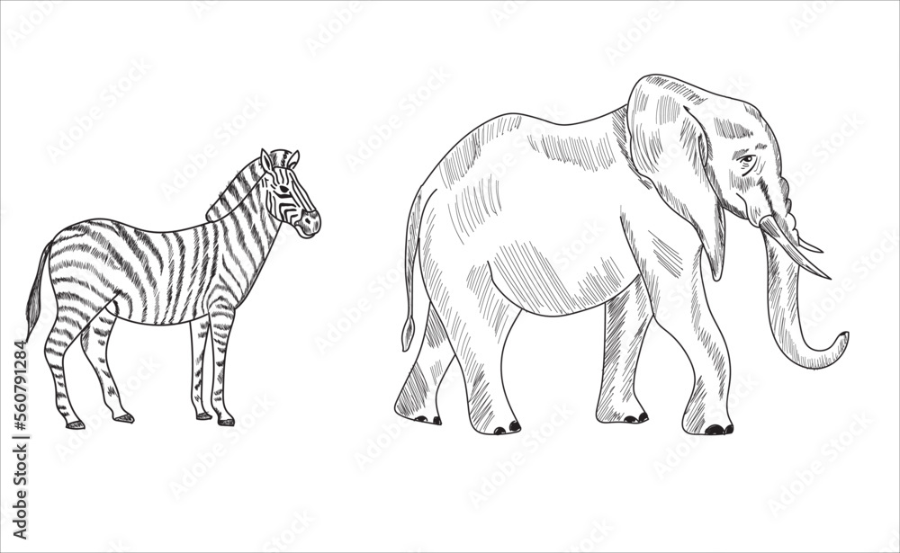 Animals a sketch drawing vector illustration
