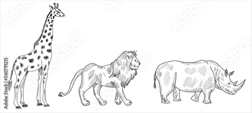 Animals a sketch drawing vector illustration