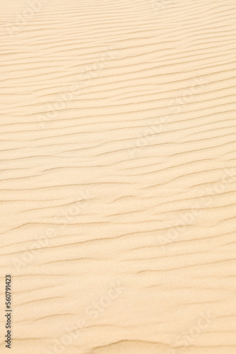 Texture of beautiful sand as background  closeup