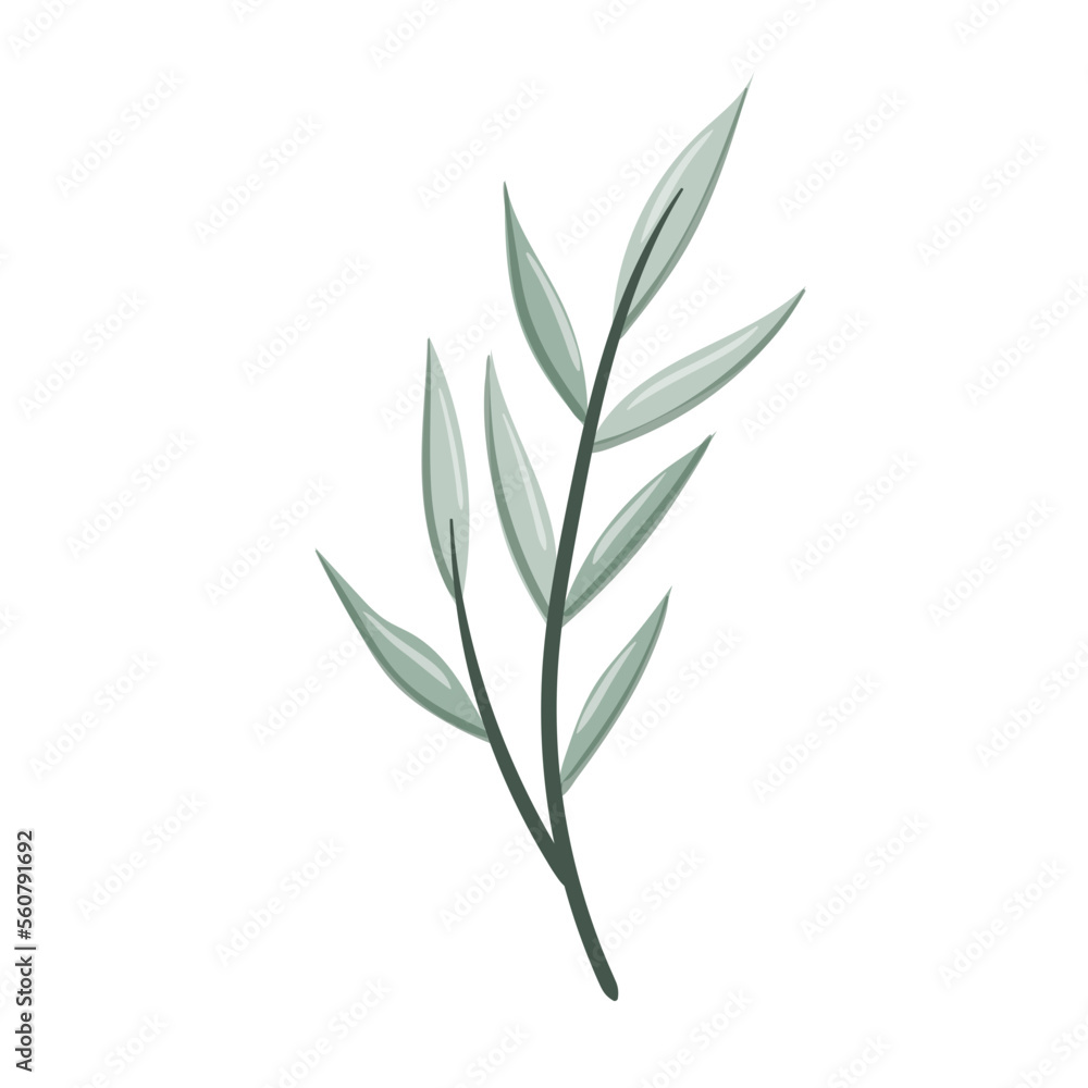 leaf design vector