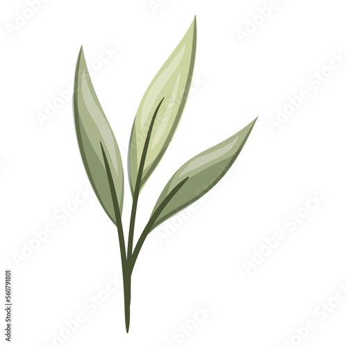 leaf design vector