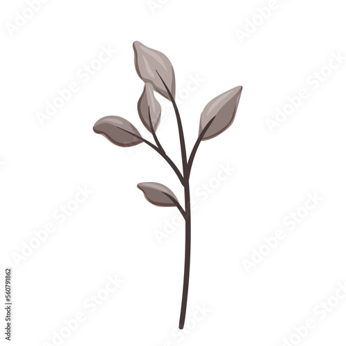 leaf design vector