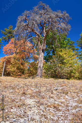  Landschaft im NSG Trockengebiete bei Machtilshausen,  Landkreis Bad Kissingen, Unterfranken, Franken, Bayern, Deutschland photo